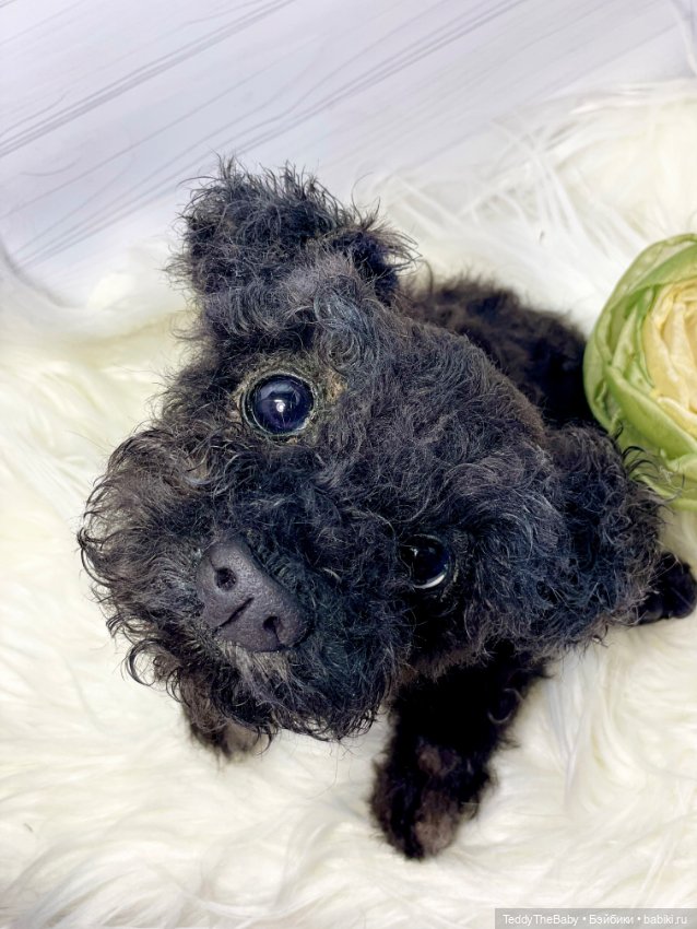 Ódin 🐾🐶 — Реалистичные игрушки и звери (Натюр): собаки