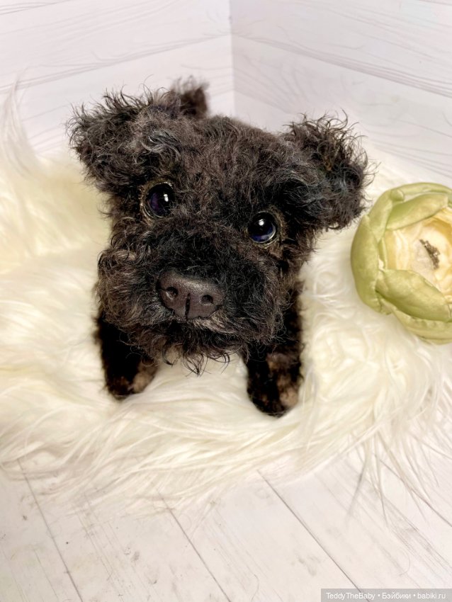 Ódin 🐾🐶 — Реалистичные игрушки и звери (Натюр): собаки (фото 4)