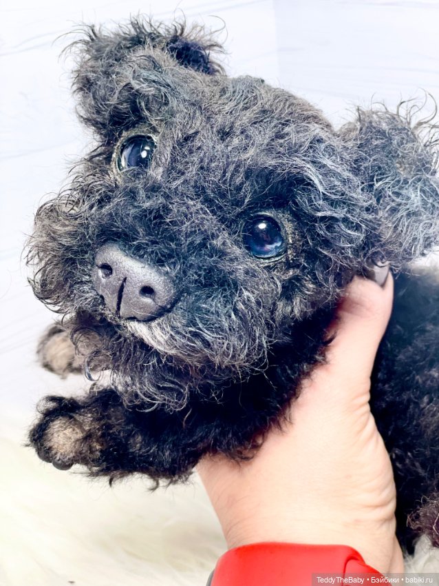 Ódin 🐾🐶 — Реалистичные игрушки и звери (Натюр): собаки