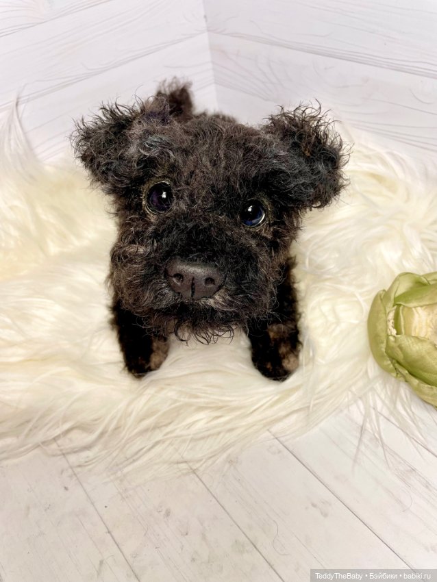 Ódin 🐾🐶 — Реалистичные игрушки и звери (Натюр): собаки (фото 3)