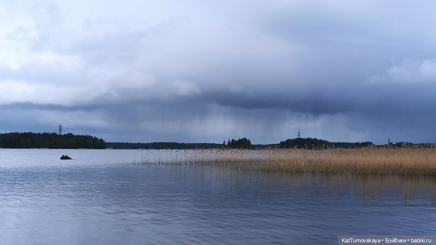 Черничкины прогулки — Куклы Rainbow High (Рейнбоу Хай