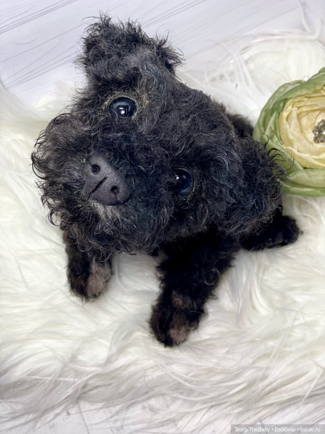 Ódin 🐾🐶 — Реалистичные игрушки и звери (Натюр): собаки