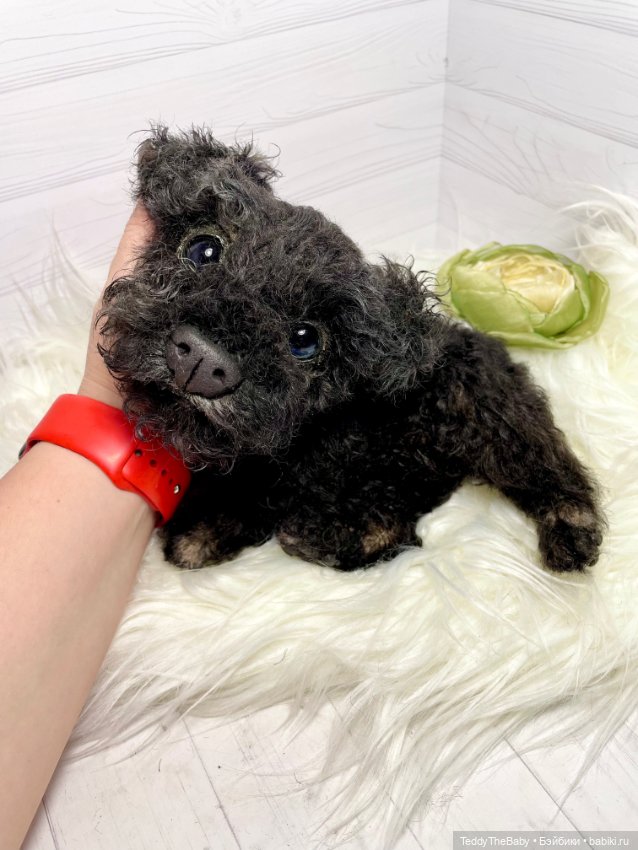 Ódin 🐾🐶 — Реалистичные игрушки и звери (Натюр): собаки