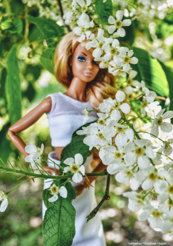 Ария Dynamite girls Chill Factor 💓