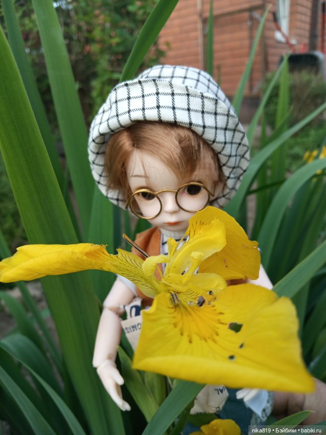 Мой Ботаник — Разные шарнирные куклы (не БЖД): редкие (фото 8)