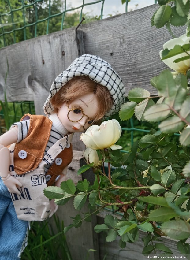 Мой Ботаник — Разные шарнирные куклы (не БЖД): редкие (фото 5)