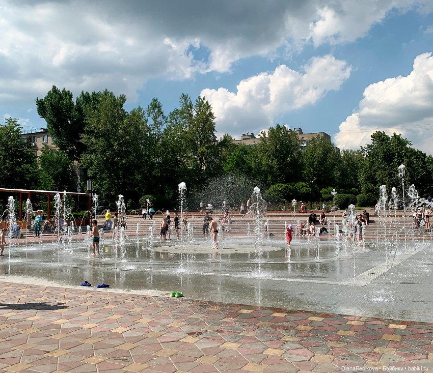 Прогулка с корги в парке у дома (фото 10)