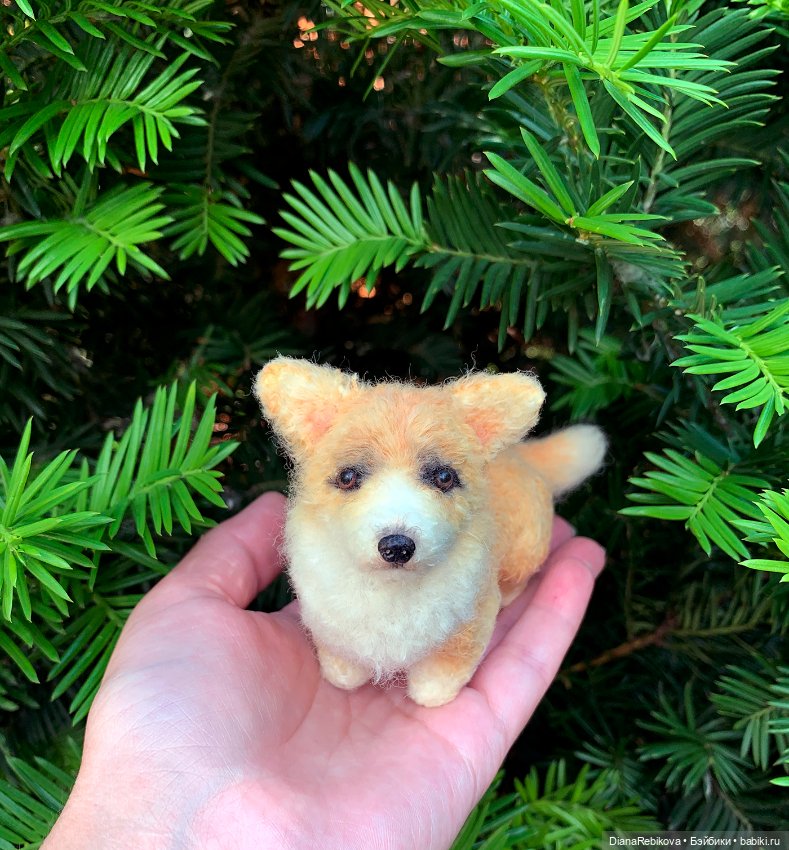 Прогулка с корги в парке у дома (фото 8)