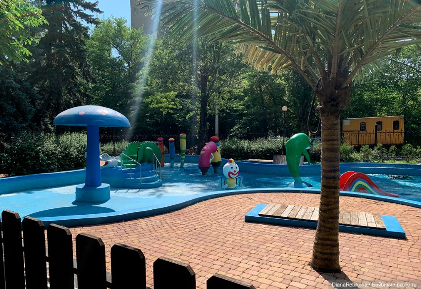 Прогулка с корги в парке у дома