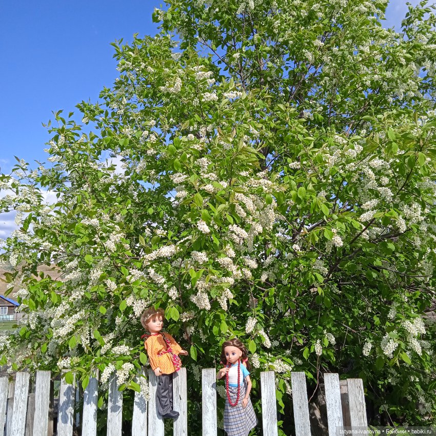 Как мы на троицу гуляли и березку наряжали