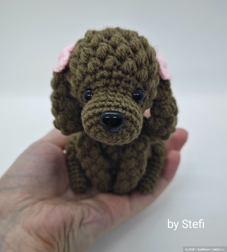 И снова пуделечëк) Постоянную кличку пока не давала, но дома она Джессика (фото 8)