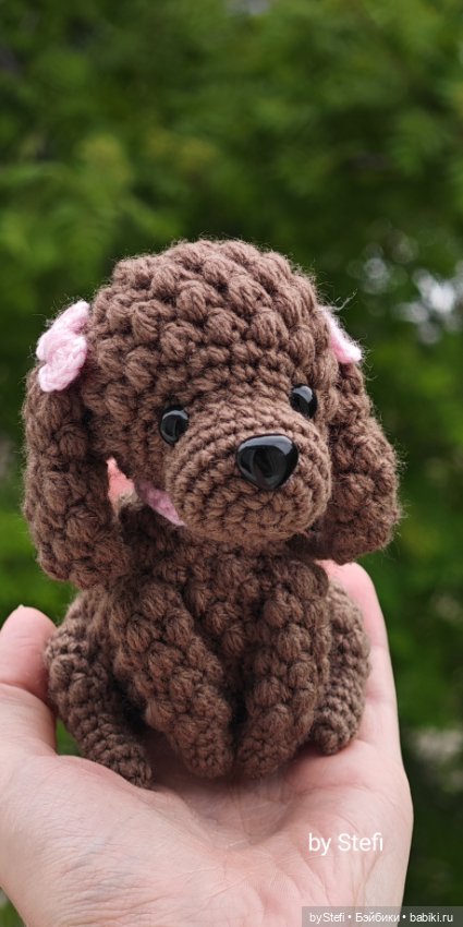 И снова пуделечëк) Постоянную кличку пока не давала, но дома она Джессика