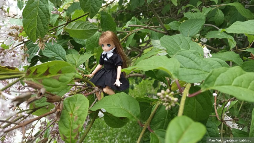 Погуляли с азоночками. Часть первая (фото 2)