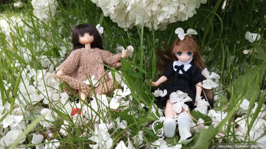 Погуляли с азоночками. Часть первая (фото 10)