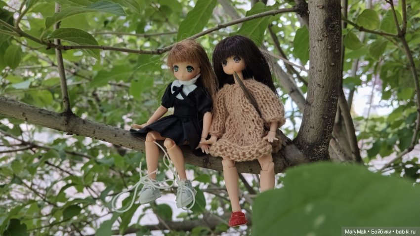 Погуляли с азоночками. Часть первая (фото 4)