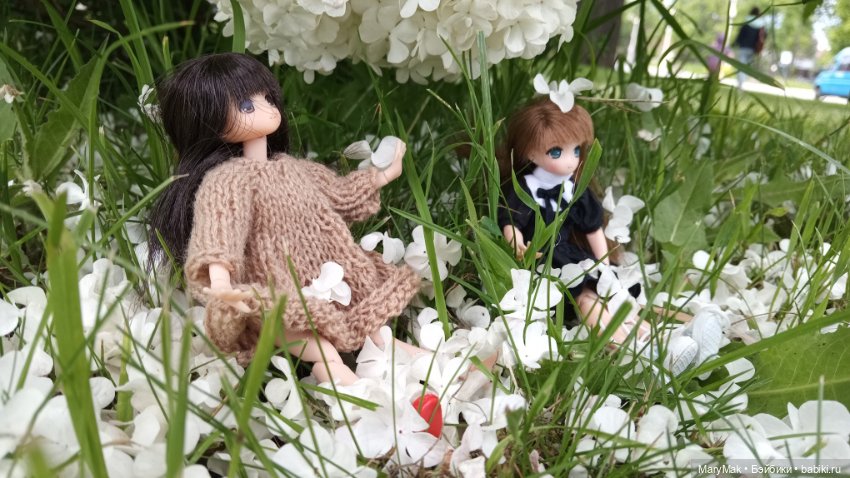 Погуляли с азоночками. Часть первая