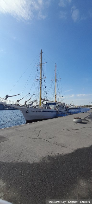 Большие мишки от Маруси Пилюгиной на Балу в Севрабеле. май 2023 года