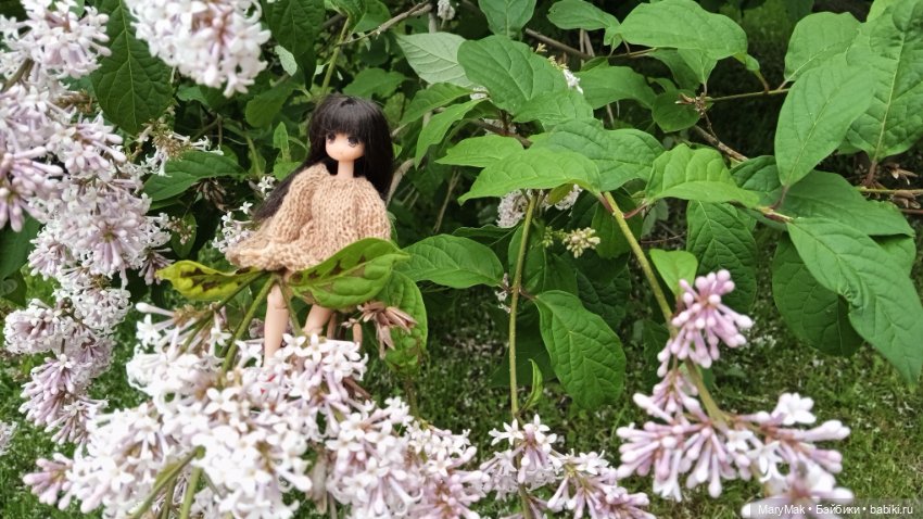 Погуляли с азоночками. Часть первая