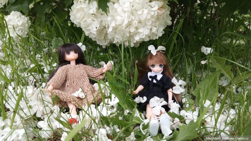 Погуляли с азоночками. Часть первая (фото 9)