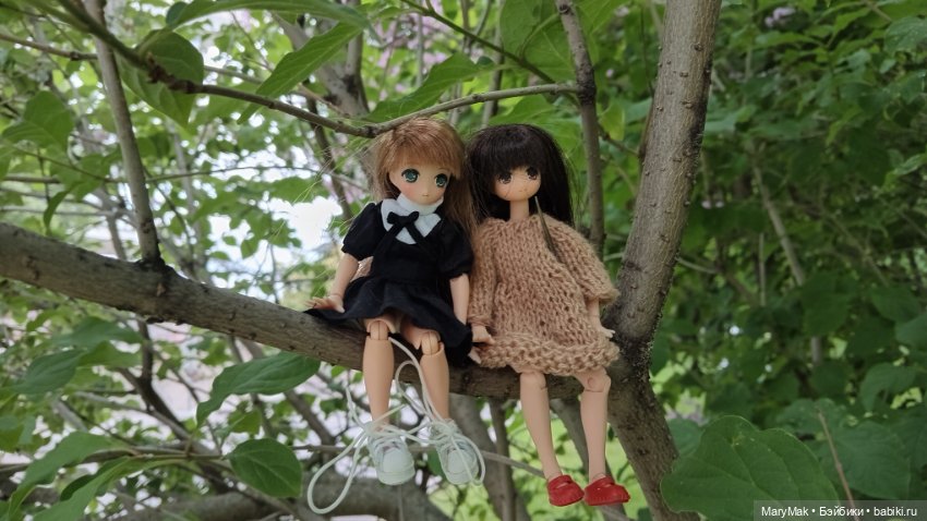 Погуляли с азоночками. Часть первая (фото 5)