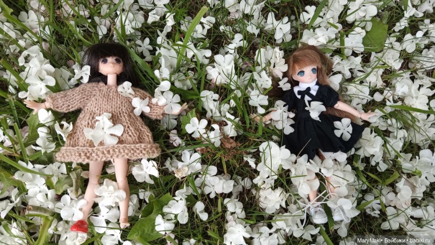 Погуляли с азоночками. Часть первая