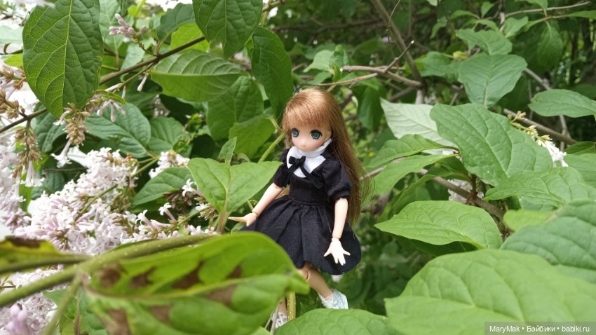 Погуляли с азоночками. Часть первая (фото 3)