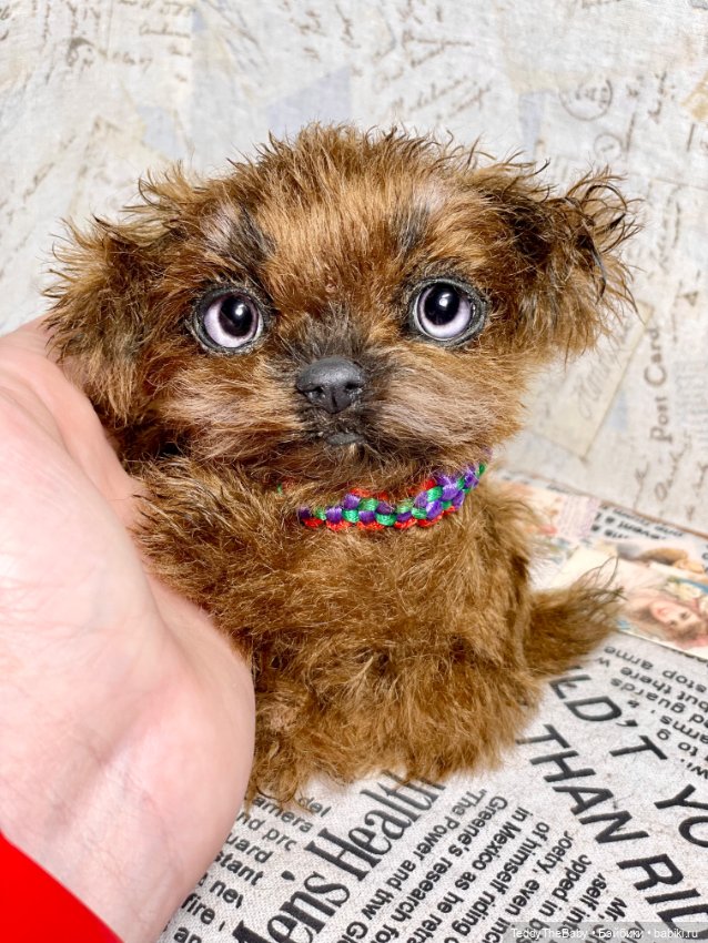 Голди 🐶 — Реалистичные игрушки и звери (Натюр): собаки (фото 2)