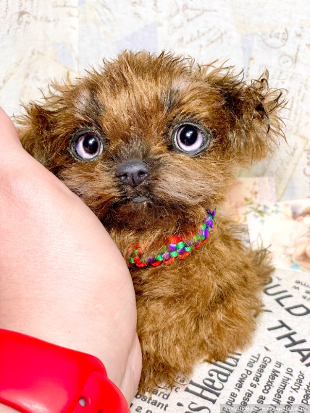 Голди 🐶 — Реалистичные игрушки и звери (Натюр): собаки