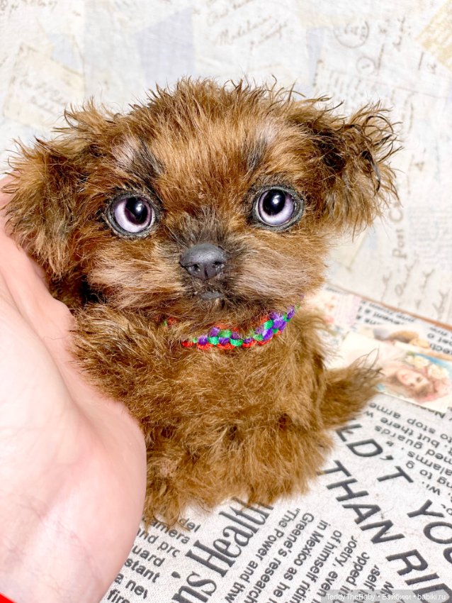 Голди 🐶 — Реалистичные игрушки и звери (Натюр): собаки (фото 3)