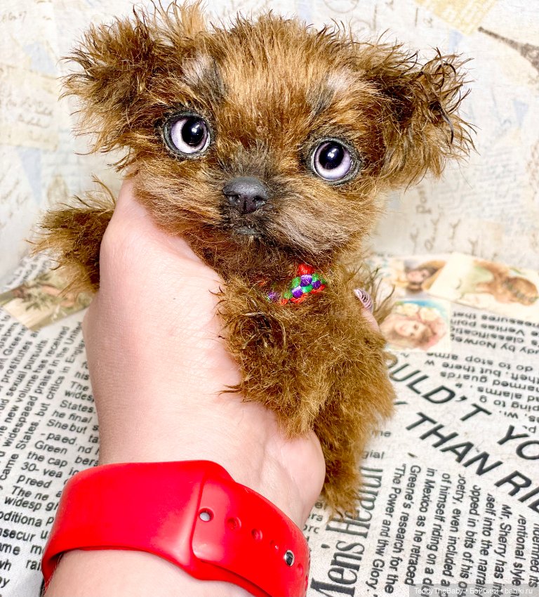 Голди 🐶 — Реалистичные игрушки и звери (Натюр): собаки