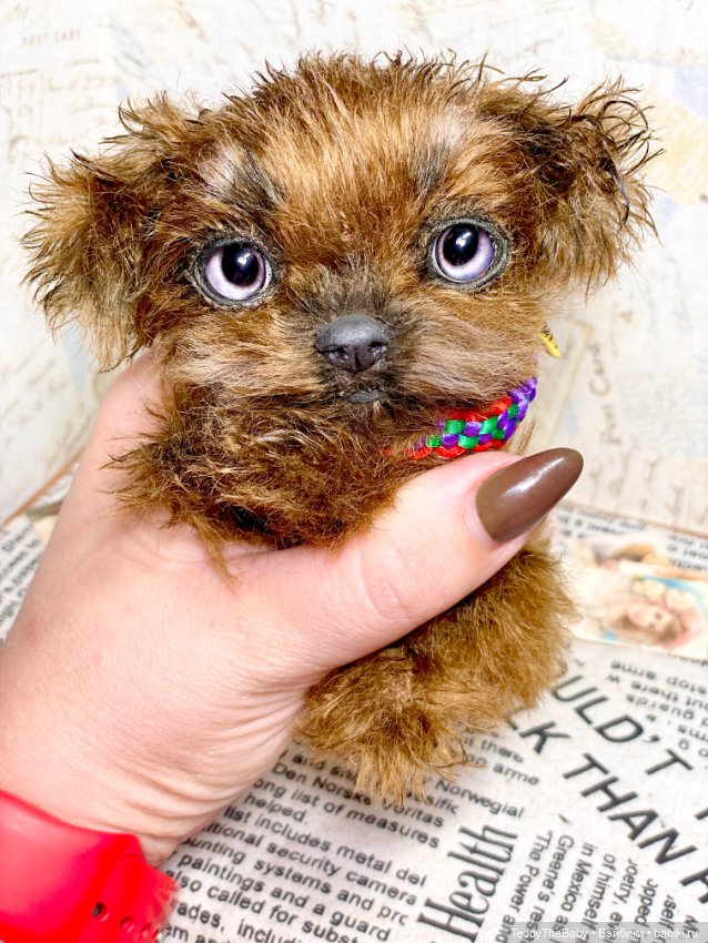 Голди 🐶 — Реалистичные игрушки и звери (Натюр): собаки (фото 7)