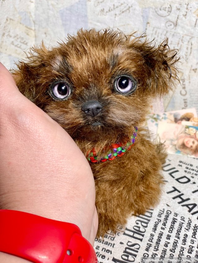 Голди 🐶 — Реалистичные игрушки и звери (Натюр): собаки