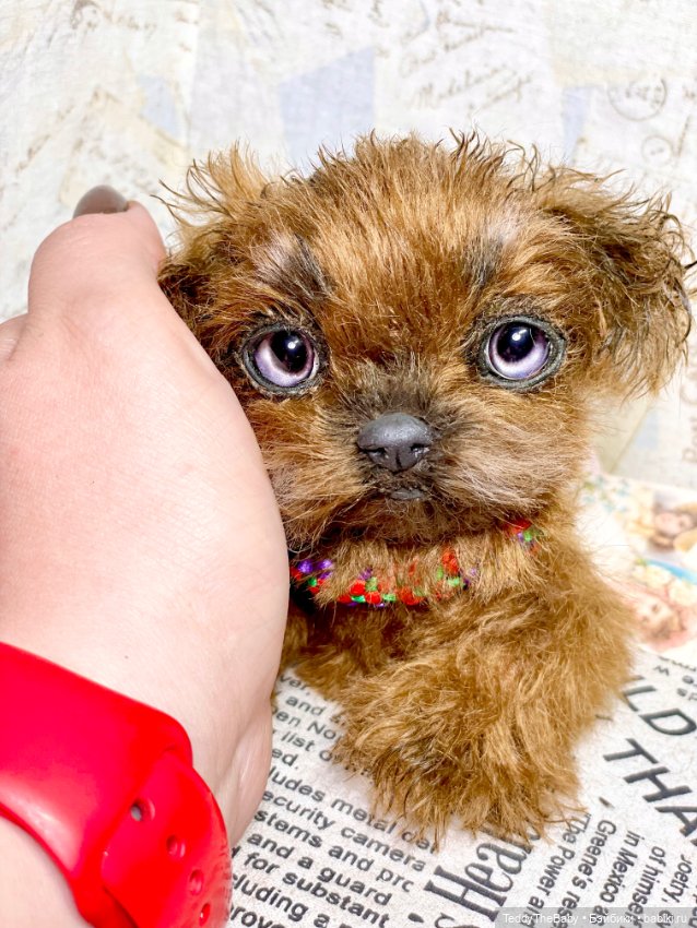 Голди 🐶 — Реалистичные игрушки и звери (Натюр): собаки