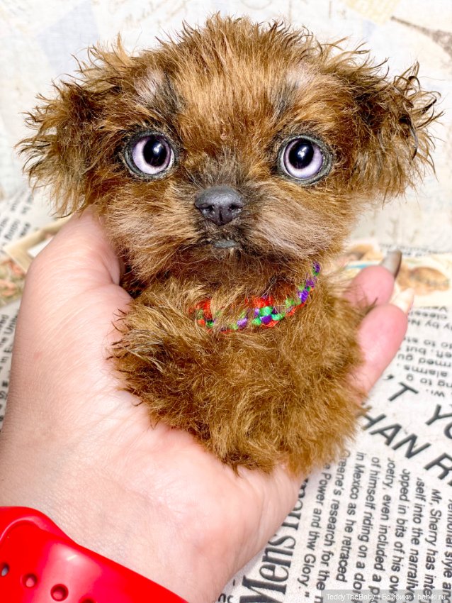 Голди 🐶 — Реалистичные игрушки и звери (Натюр): собаки