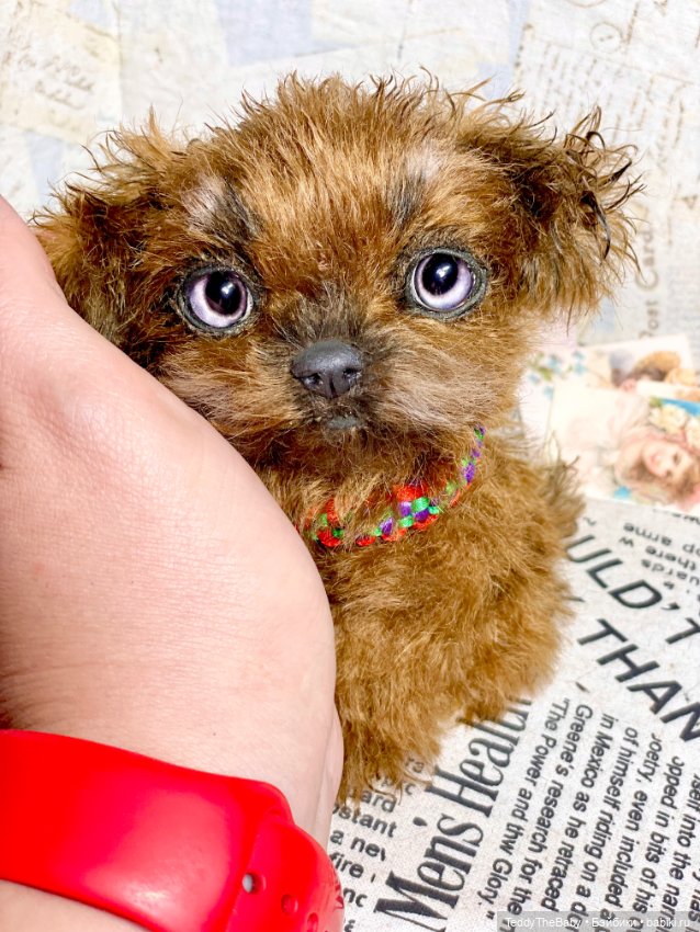 Голди 🐶 — Реалистичные игрушки и звери (Натюр): собаки