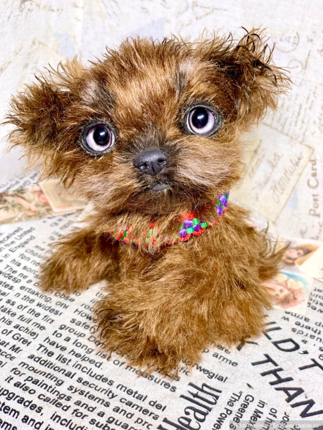 Голди 🐶 — Реалистичные игрушки и звери (Натюр): собаки