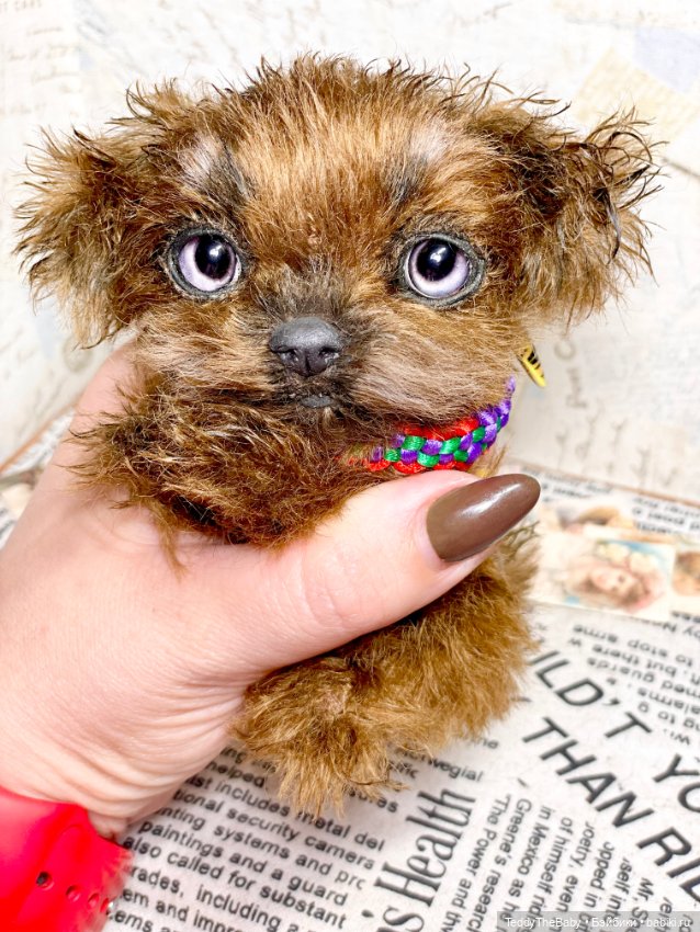 Голди 🐶 — Реалистичные игрушки и звери (Натюр): собаки (фото 9)