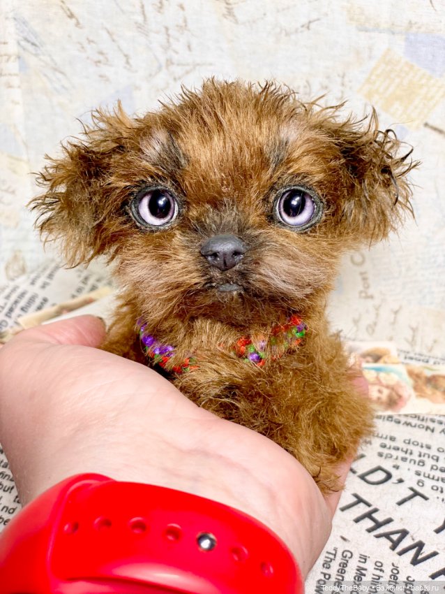 Голди 🐶 — Реалистичные игрушки и звери (Натюр): собаки