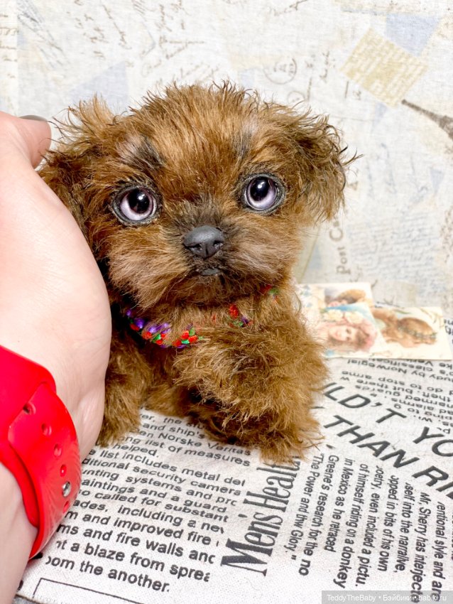 Голди 🐶 — Реалистичные игрушки и звери (Натюр): собаки