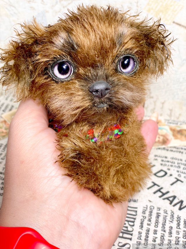 Голди 🐶 — Реалистичные игрушки и звери (Натюр): собаки