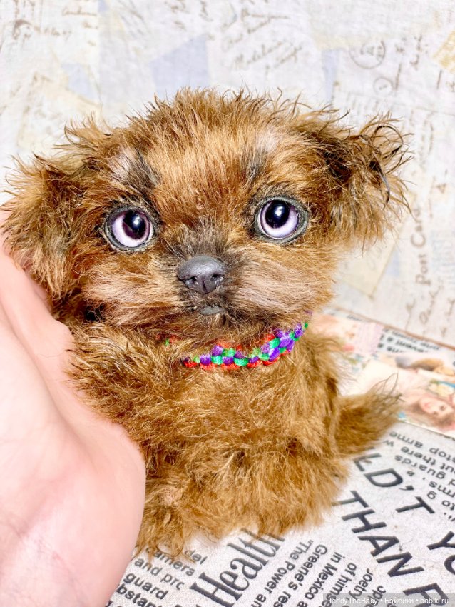 Голди 🐶 — Реалистичные игрушки и звери (Натюр): собаки (фото 4)