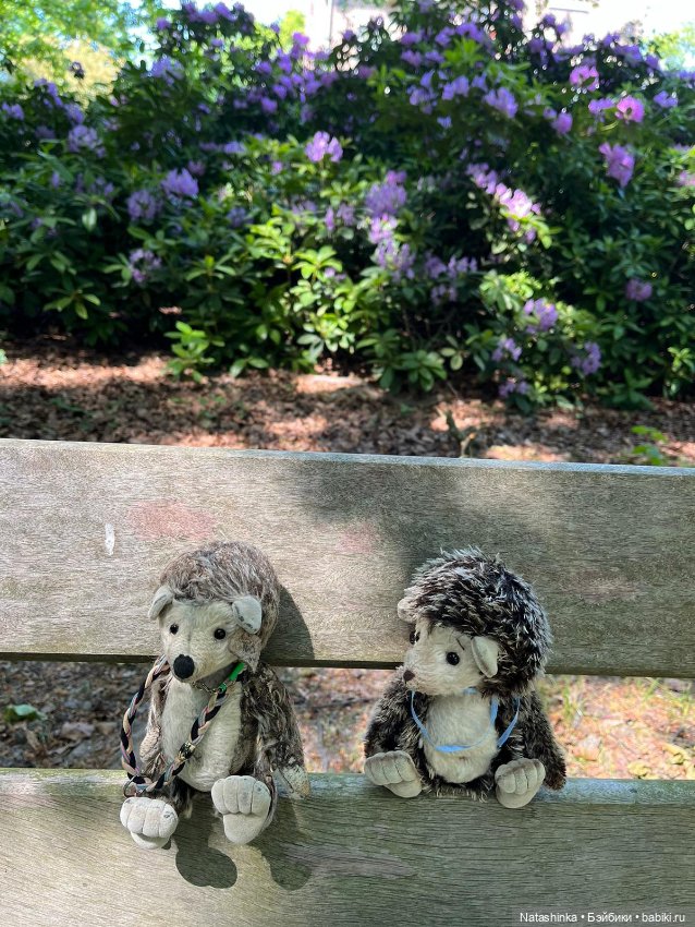 Fashion Dolls 514 — Туризм и путешествия: фотоотчеты из поездок