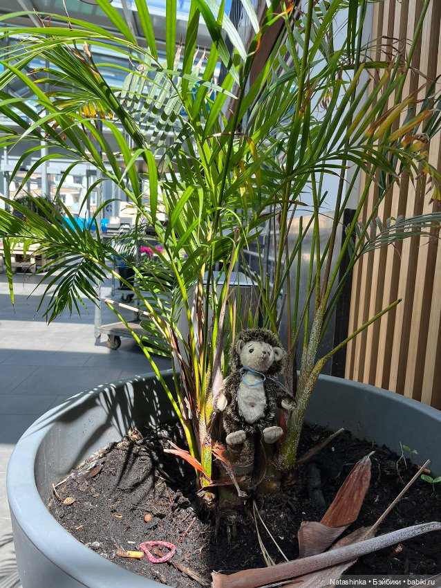 Fashion Dolls 514 — Туризм и путешествия: фотоотчеты из поездок