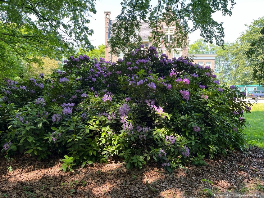 Fashion Dolls 514 — Туризм и путешествия: фотоотчеты из поездок