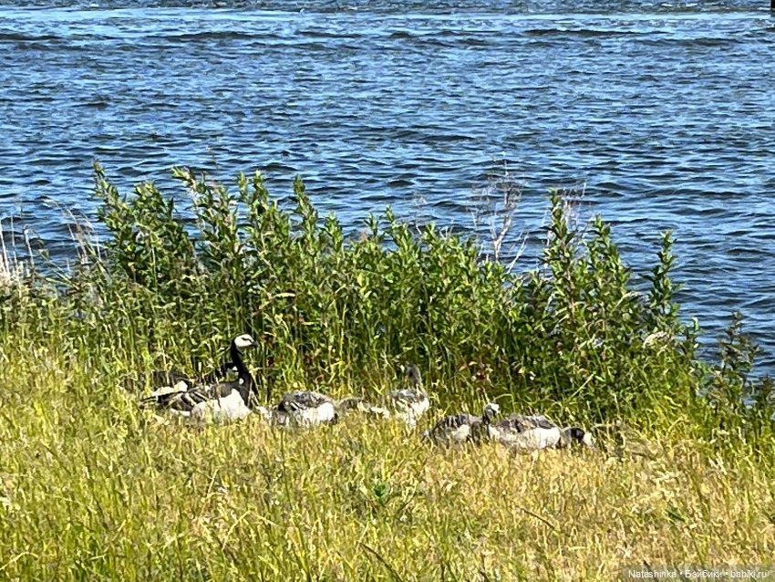 Fashion Dolls 514 — Туризм и путешествия: фотоотчеты из поездок