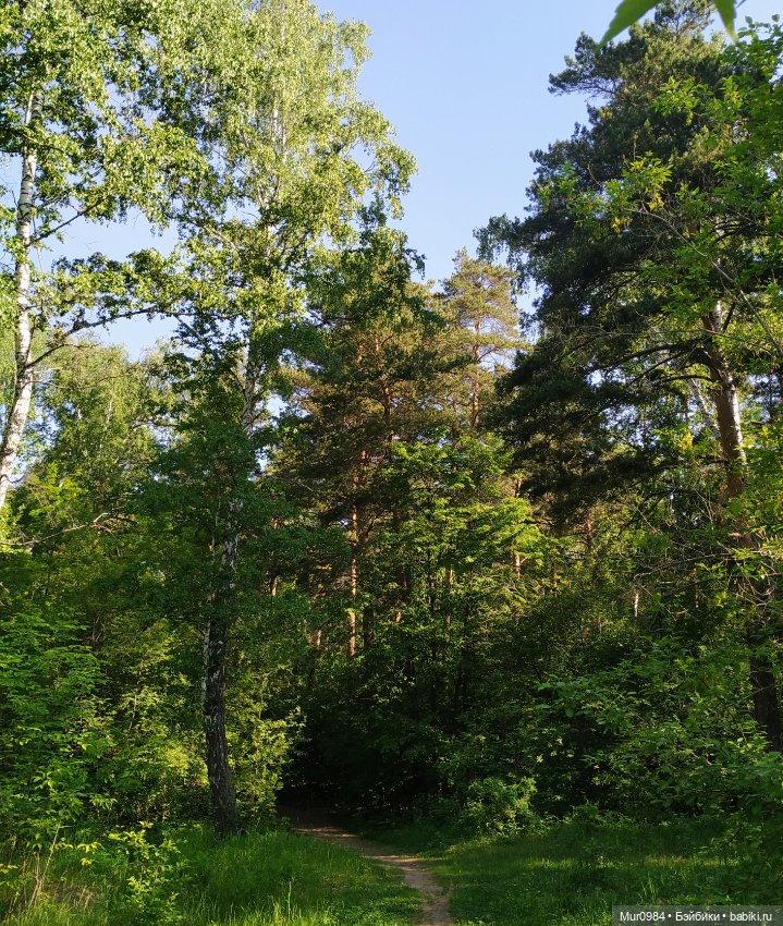 Встреча и прогулка девочек Trinity Dolls (фото 4)