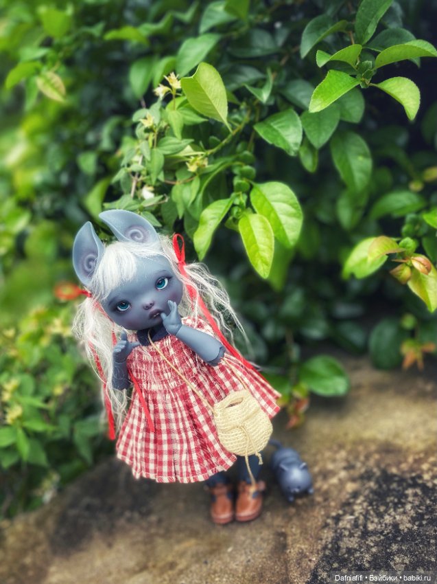 Dust of Dolls Zoux — Куклы Dust of Dolls (Даст оф Доллс): BJD (БЖД)