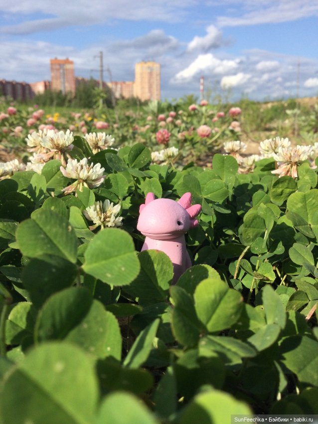 Акакий — Интересные игрушки и фигурки (разное): редкие (фото 10)