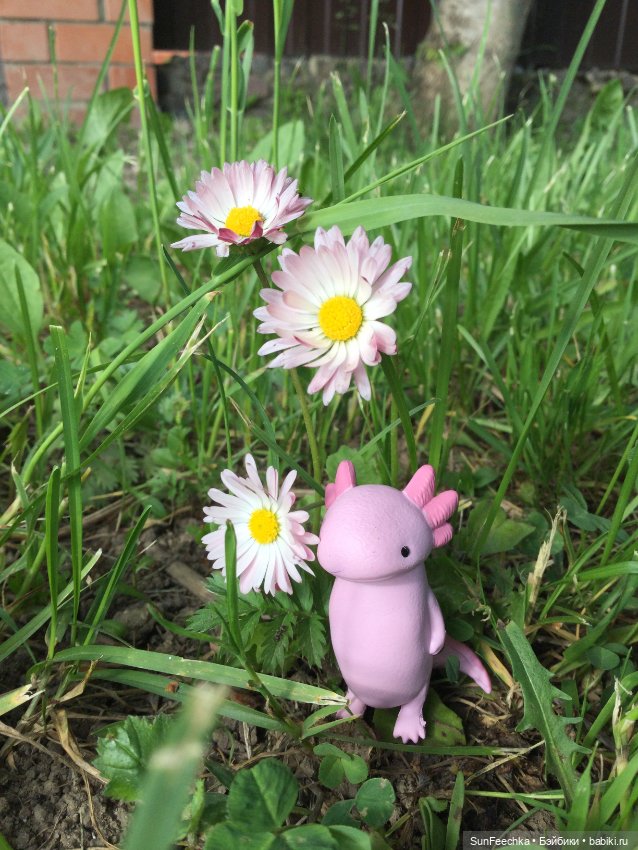 Акакий — Интересные игрушки и фигурки (разное): редкие (фото 4)