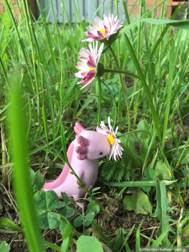 Акакий — Интересные игрушки и фигурки (разное): редкие (фото 5)